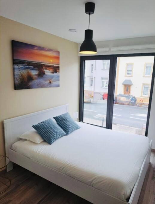 Apartment Luxury New Flat With Terrace & Parking-beg1 Luxembourg